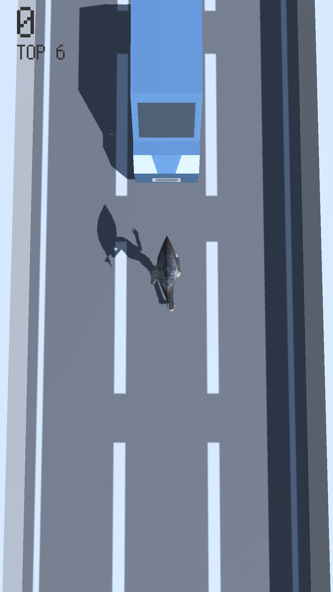 鰹 on the highway