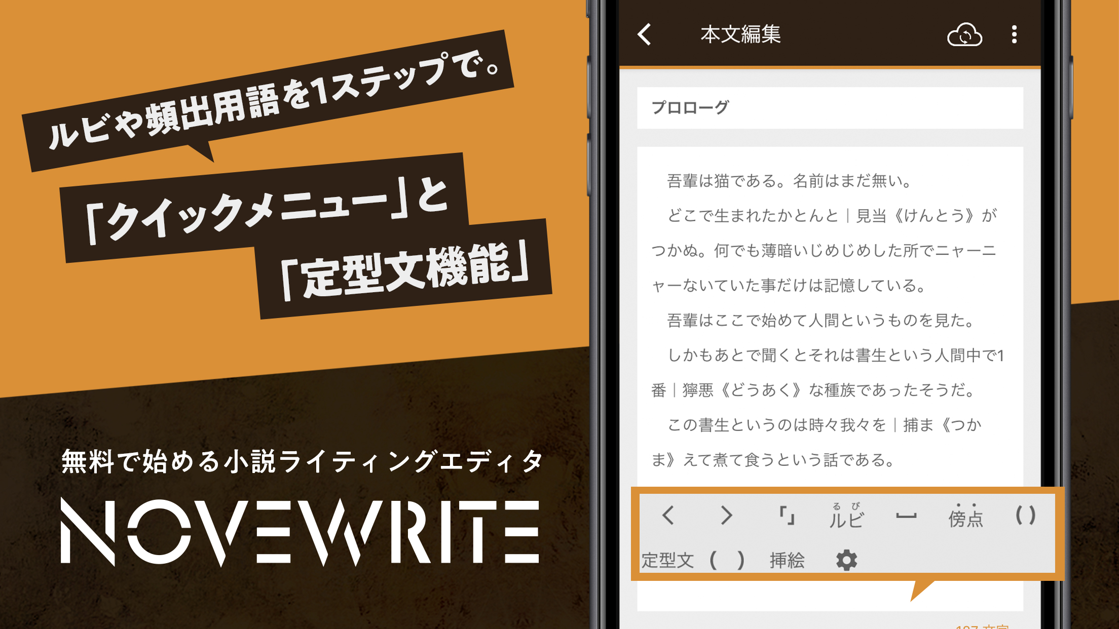 NOVEWRITE