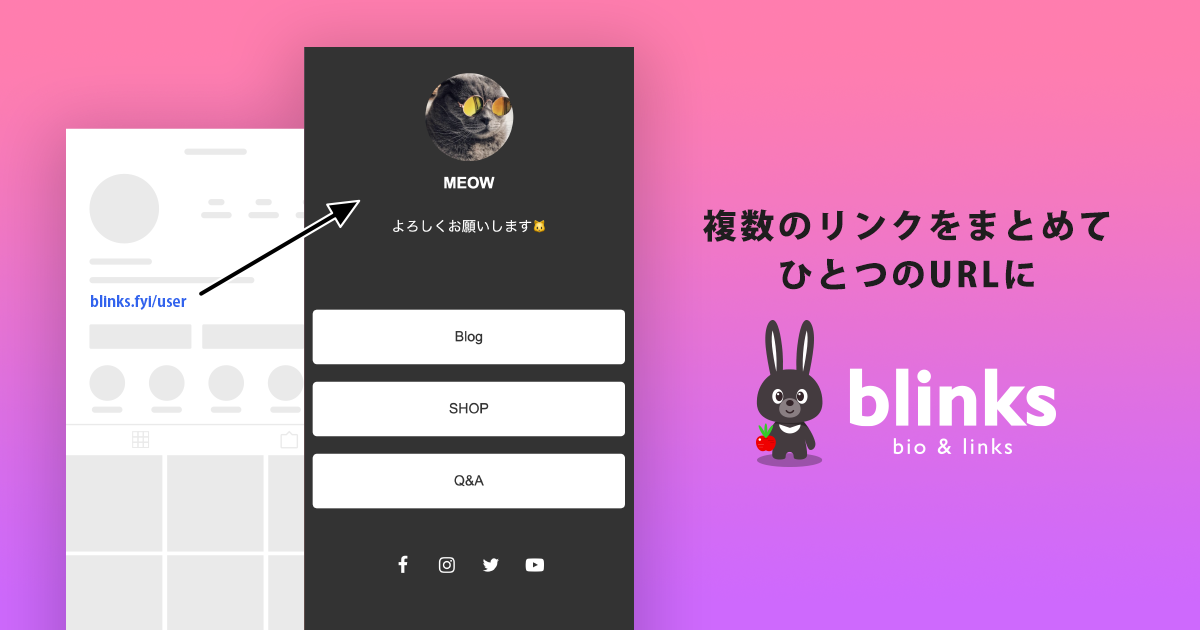 ブリンクス