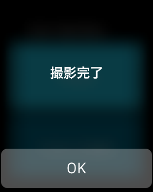 Remote Shutter for ThetaS