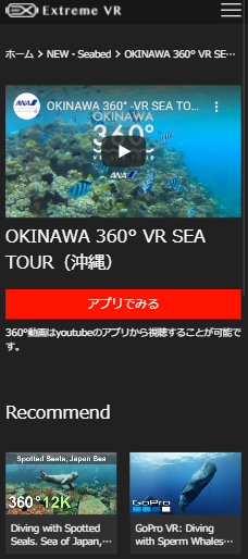 ExtremeVR
